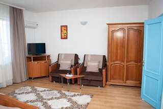 Мотели Motel Via Targu Mures Cristeşti Стандартный двухместный номер с 1 кроватью-5