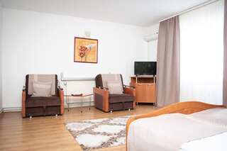 Мотели Motel Via Targu Mures Cristeşti Стандартный двухместный номер с 1 кроватью-10