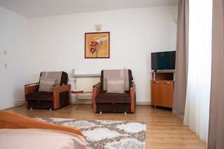 Мотели Motel Via Targu Mures Cristeşti Стандартный двухместный номер с 1 кроватью-11